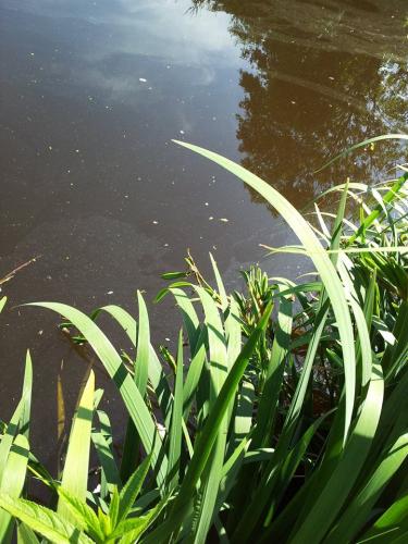 pose in front of the mirror (from the camera)
